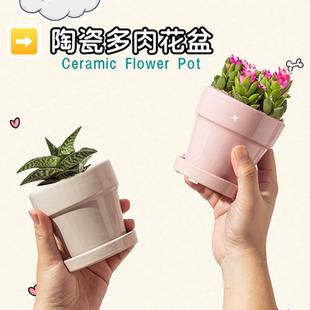 花盆带托盘一体陶瓷家用多肉花盆仙人球仙人掌盆栽盆子长寿花花盆