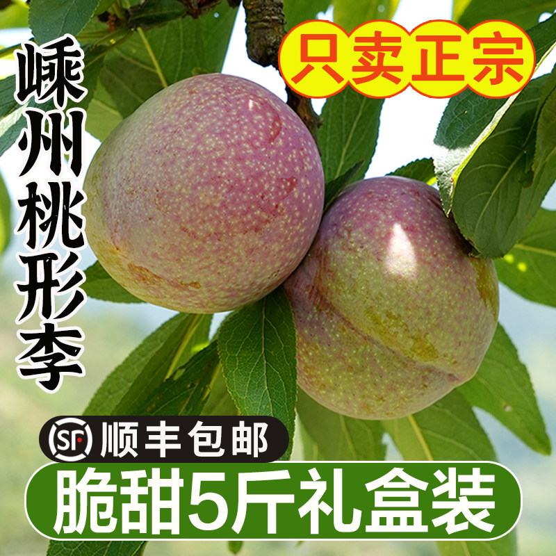 正宗嵊州桃形李子新鲜水果脱骨脆甜红心三华李大果5斤礼盒顺丰