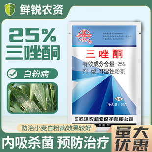 建农25%三唑酮白粉病锈病小麦杀菌剂农药可湿性粉剂