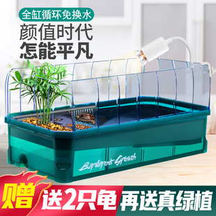 现货速发送2只小乌龟家养鳄龟龟草龟活物带缸乌龟缸容易养活