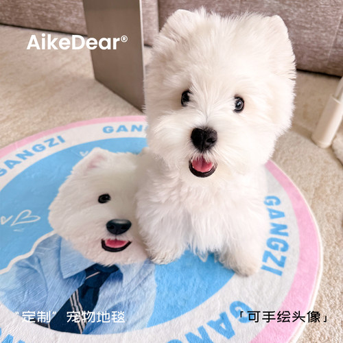AikeDear宠物定制地毯生日礼物