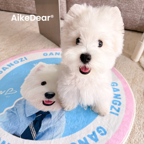 AikeDear宠物定制地毯生日礼物