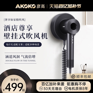 AKOKO彦高电吹风机高速家用负离发速干大功率酒店版专用风筒子护
