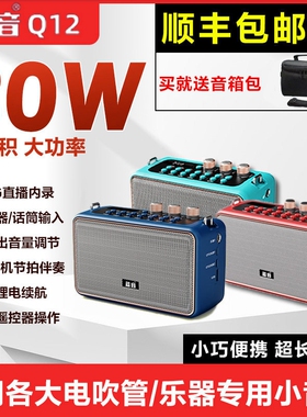 蓝音Q12电吹管专用小音响萨克斯乐器专业音箱户外便携迷你木吉他