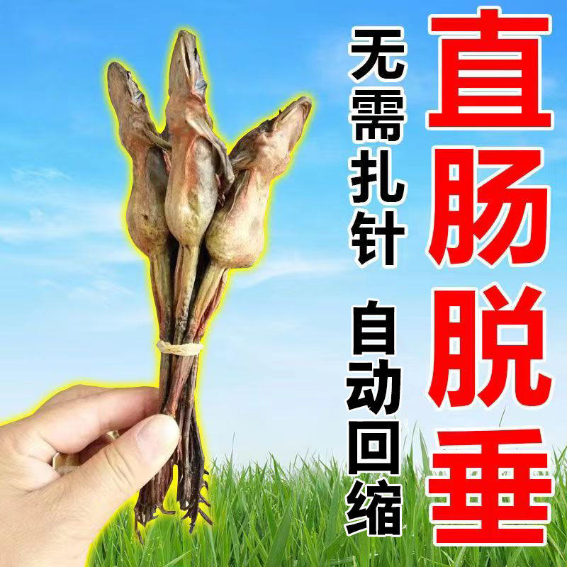 肛门脱出【轻松复位】肛门脱垂脱肛下坠疼痛肿胀便秘出血失禁松弛