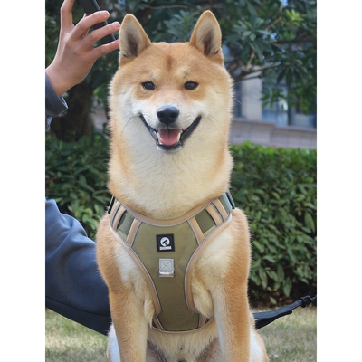 福莱希蒙淼狗狗牵引绳背心式中大型犬金毛拉布拉多胸背带链遛狗绳