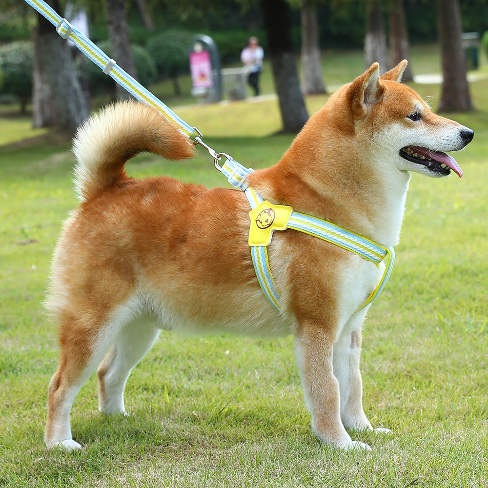 福莱希蒙淼狗狗牵引绳胸背带遛狗绳外出防挣脱柴犬中大型犬背心式