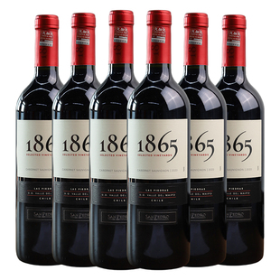 智利原瓶进口红酒圣佩特罗1865赤霞珠干红葡萄酒750ml*6瓶整箱装