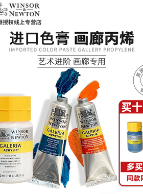 温莎牛顿画廊丙烯颜料管装单支60ML瓶装250ML套装美术学生专用DIY艺术手绘墙绘美甲颜料防水不掉色金色钛白色