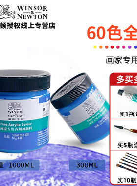 温莎牛顿画家专用丙烯颜料防水不掉色室内涂鸦户外墙绘DIY画鞋300ml钛白色12/24/42色画室专用套装1L大瓶装