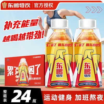 东鹏特饮功能性饮料250ml*24瓶