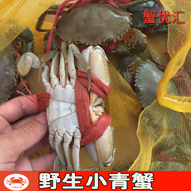 蟹优汇1斤4-8只野生鲜活