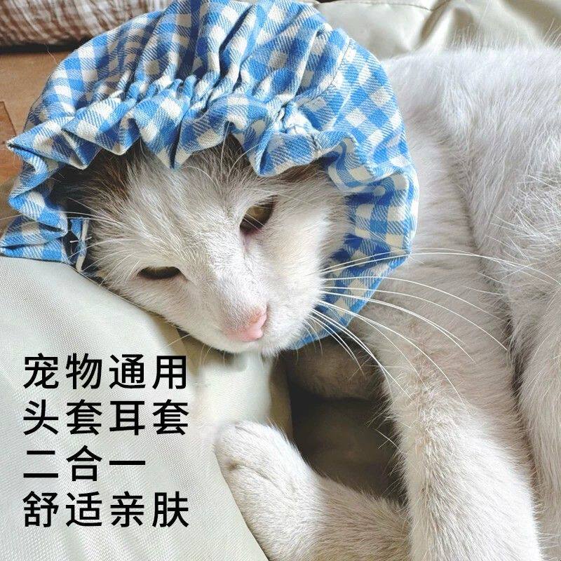 猫咪头套宠物用品幼犬成犬防脏耳套头套防耳螨春夏可爱宠物围脖