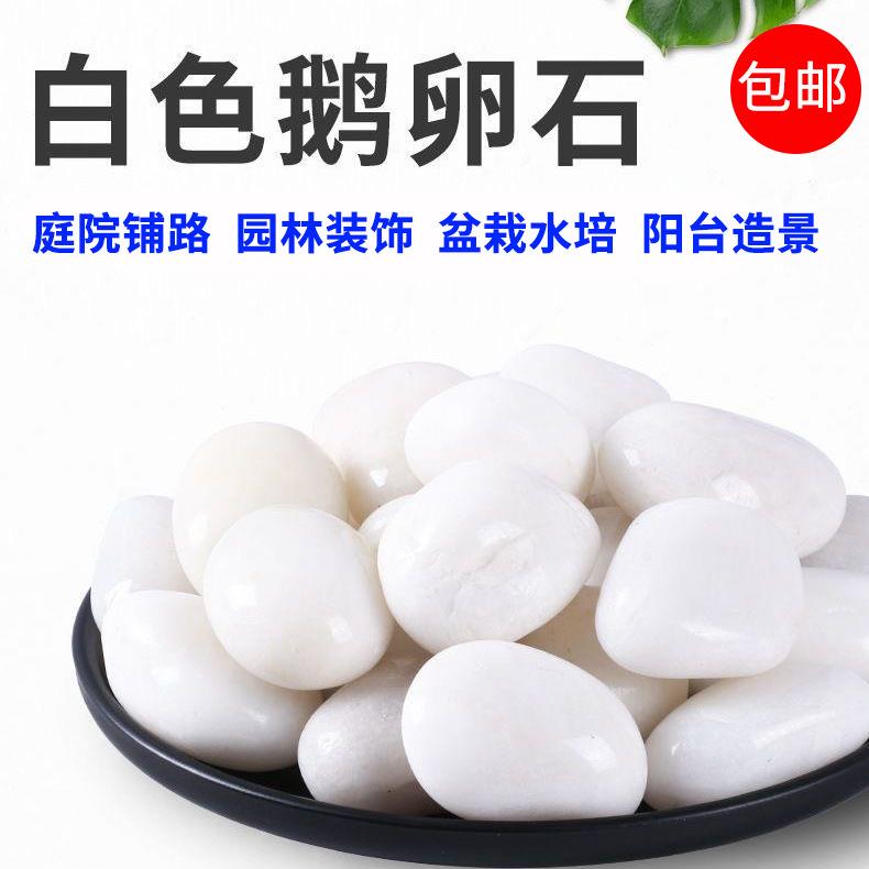 白色鹅卵石工程铺路园林造景盆栽鱼缸水培装饰阳台造景雨花石包邮
