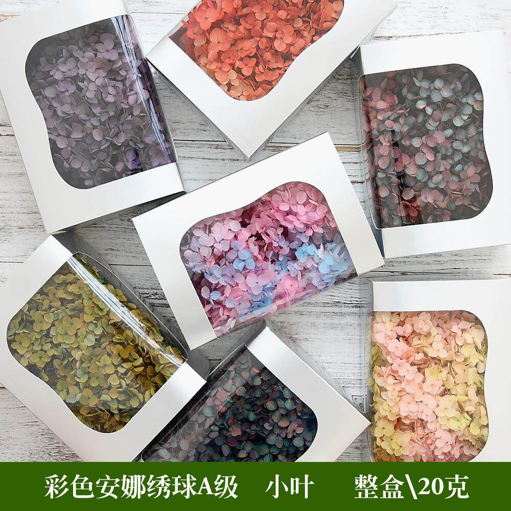 彩色安娜小叶绣球永生花花材香薰蜡烛浮游花制作材料保鲜花绣球
