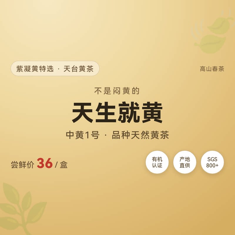 紫凝黄茶天台黄茶特一级炒青绿茶高山春茶鲜嫩香甜黄化茶叶自己喝图片