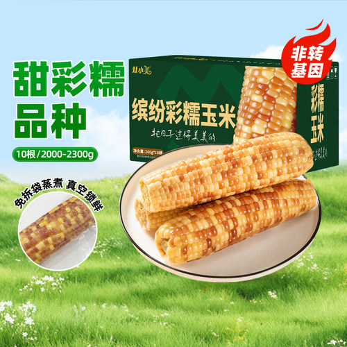 灶小美花糯玉米彩糯粗粮非转基因