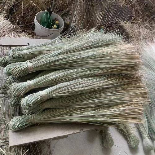端午粽绳马莲草天然香草包粽子专用绳扎蟹草绳粽子线水草绳香草绳