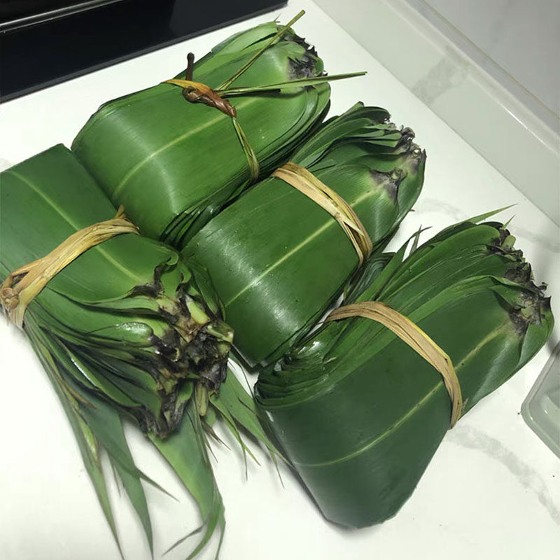 正宗大芒叶粽子叶广西新鲜现摘 野外天然厚实宽大粽子叶 非芦苇叶