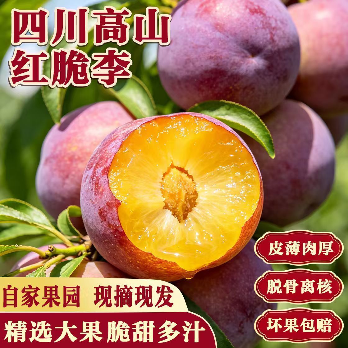 半边脆红茵红李脱骨李当季水果