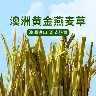 澳洲黄金燕麦草晒干牧草手工精筛一压低粉高纤兔子龙猫豚鼠兔草兔