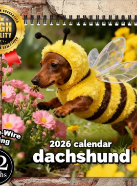 新款2026 Dachshund Wall Calendar2026年腊肠大系列挂历台历日历