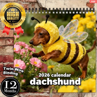 Wall Dachshund Calendar2026年腊肠大系列挂历台历日历 2026 新款