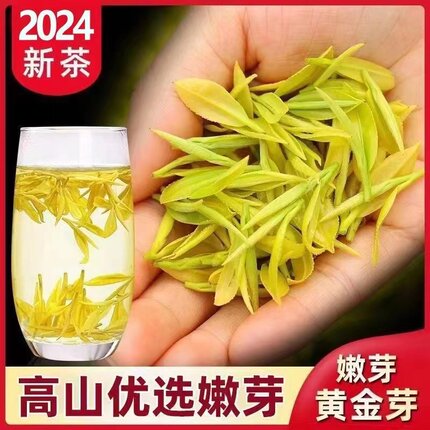 2024新茶安吉正宗黄金芽白茶绿茶明前特级珍稀高山春茶500克茶叶