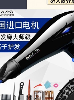 瑞莱雅德国吹风机家用负离子护发