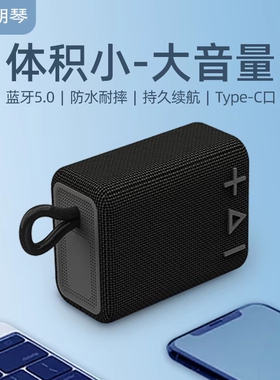 ROYQUEEN/朗琴 G30蓝牙音箱便携小音响大音航家用户外插卡防水立