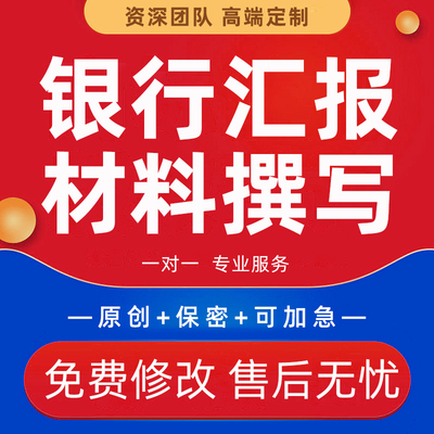银行汇报材料撰写座谈会发言稿撰行业个人工作总结报告PPT代制作