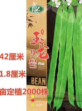 玉龙9号芸豆种子商品性佳
