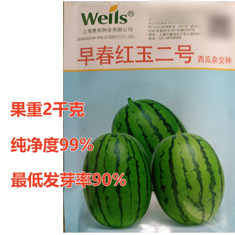 早春红玉二号西瓜种纯净度高