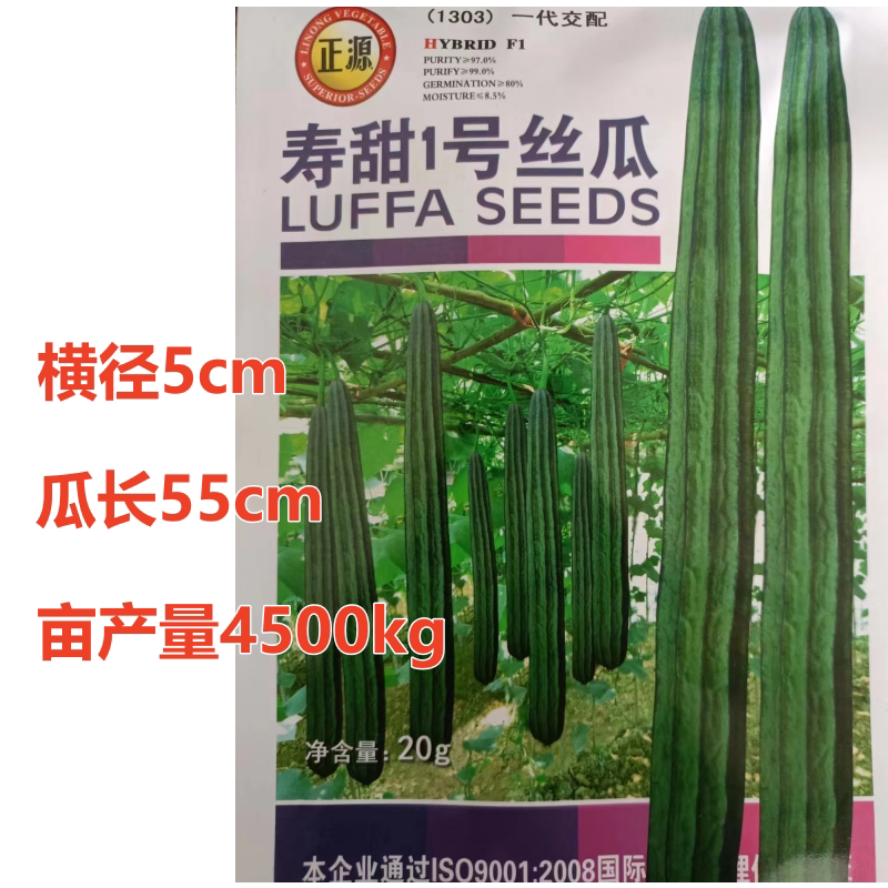 寿光直发寿甜1号棱角丝瓜种子早熟高产脆甜八角丝瓜种籽大田易种