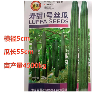 寿甜1号棱丝瓜种子早熟角瓜种籽子农家高产蔬菜苗子口感脆甜