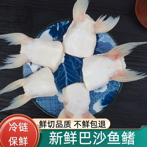 新鲜巴沙鱼鳍鮰鱼鳍鱼翅鱼下巴