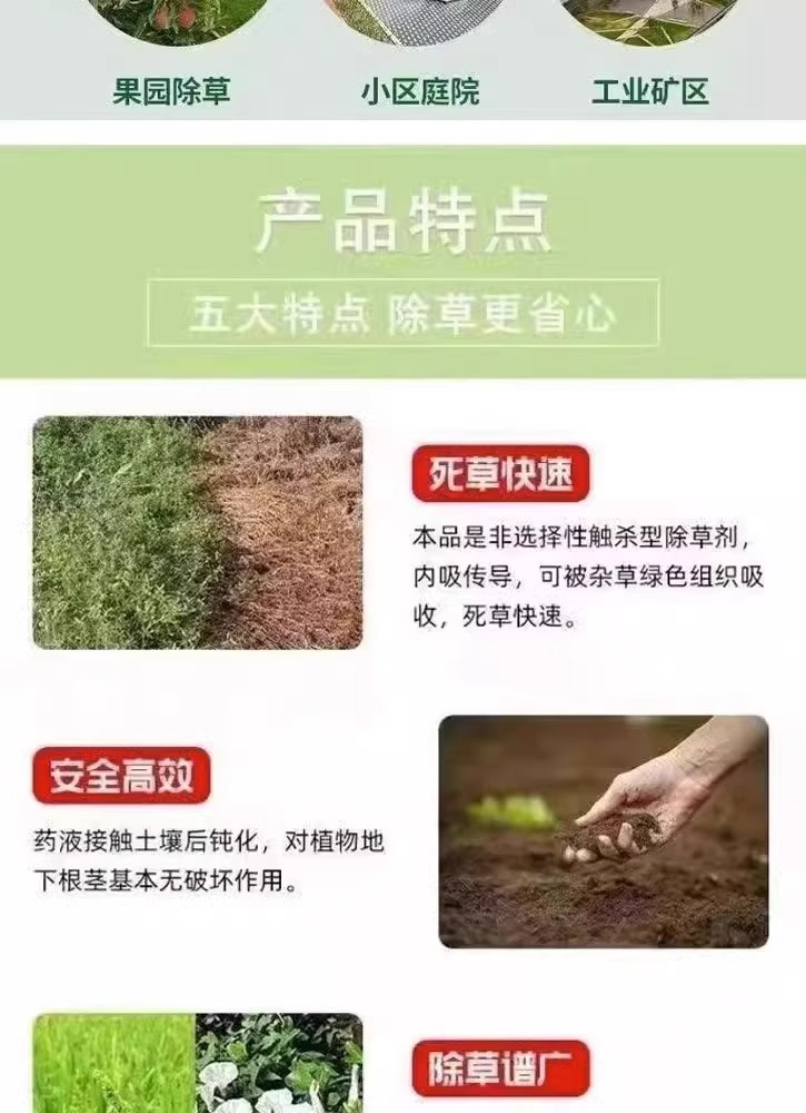 白菜萝卜苗后除草封闭烂根剂不伤苗菜地强力除杂草一扫光专用剂-封面