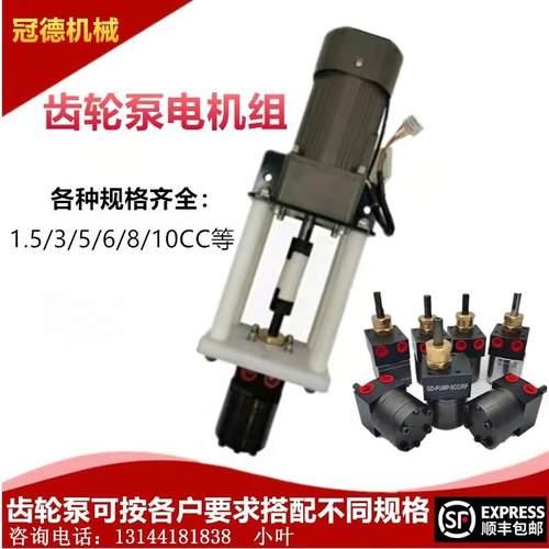 新款DISK油漆齿轮泵电机 静电喷漆涂层齿轮泵电机组合包邮