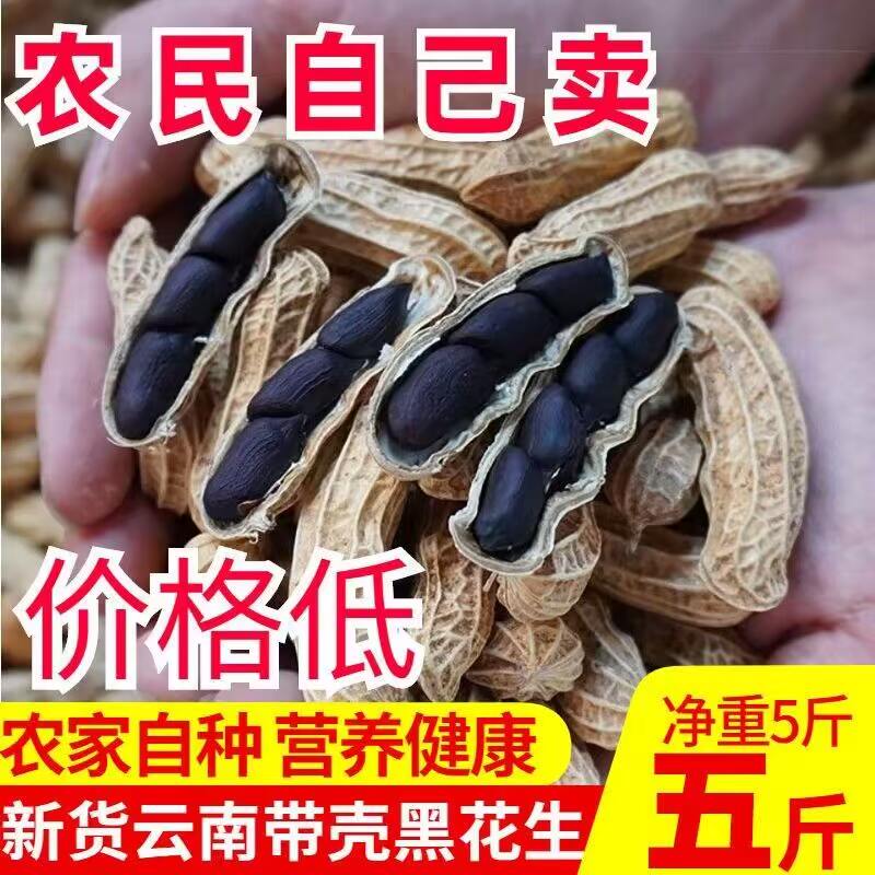 25年自种黑花生带壳紫皮富硒