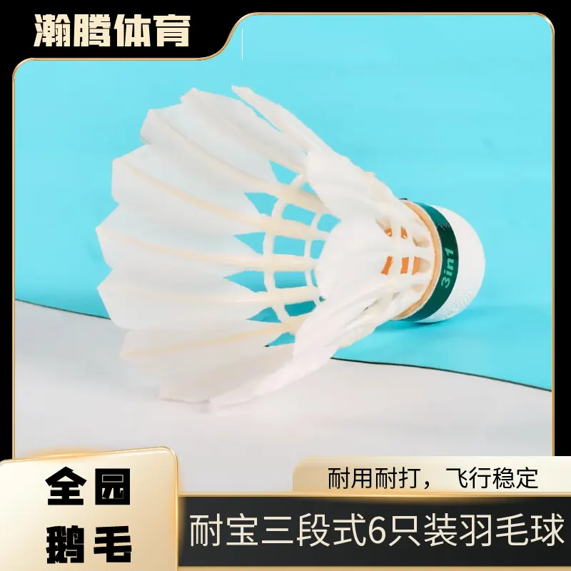 耐宝222三段式耐打王户外训练球真抗打不变形通用鹅毛6只装羽毛球