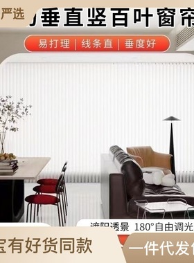 苏州厂家梦幻垂直竖百叶窗帘遮阳隔热隔断帘阳台客厅办公室百E18