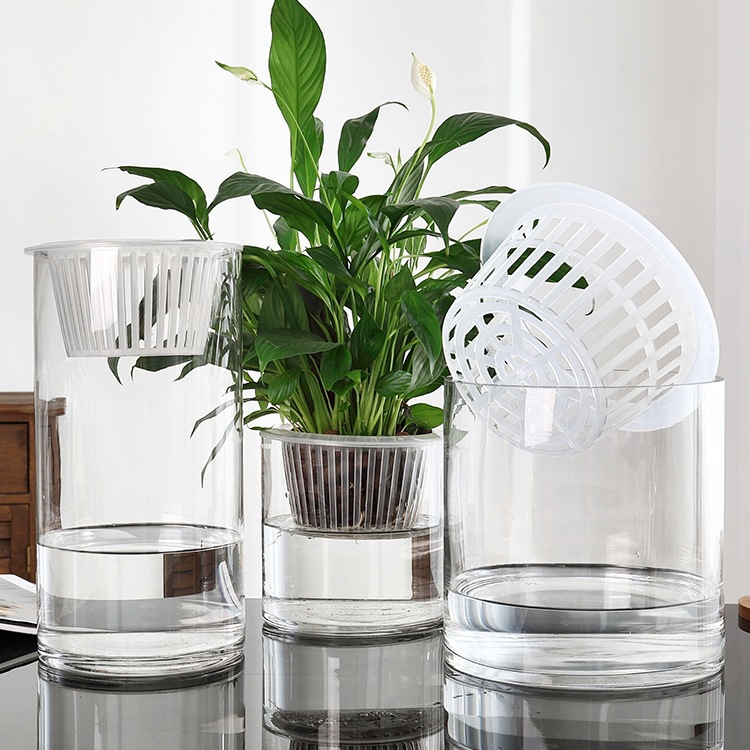 水培植物玻璃瓶子透明直筒圆柱形花瓶简约绿萝花盆白掌水养缸容器