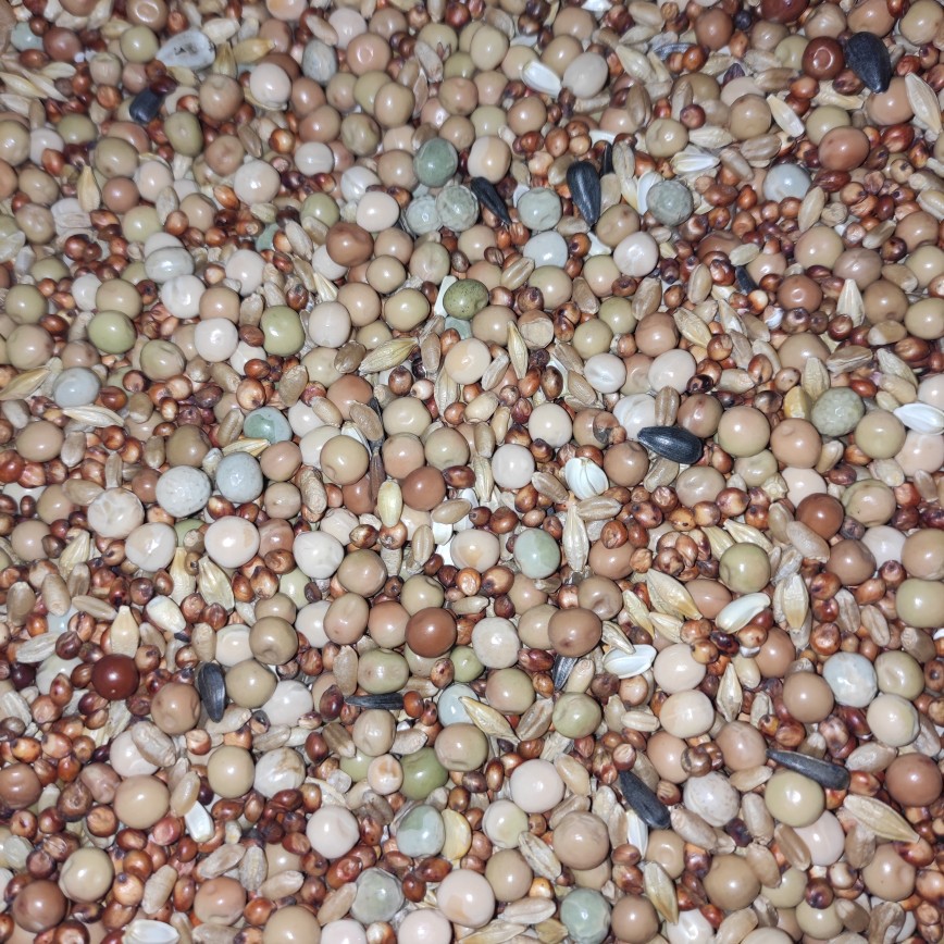 粮良德易鸽粮无玉米幼鸽鸽料鸽子粮信鸽 饲料鸟食50斤装包邮秦之