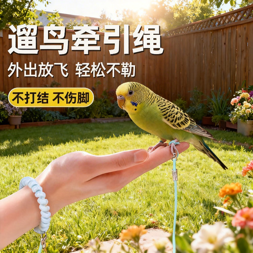 鹦鹉牵引绳外出放飞溜鸟绳小鸟玄凤虎皮小太阳超轻脚环脚链神器