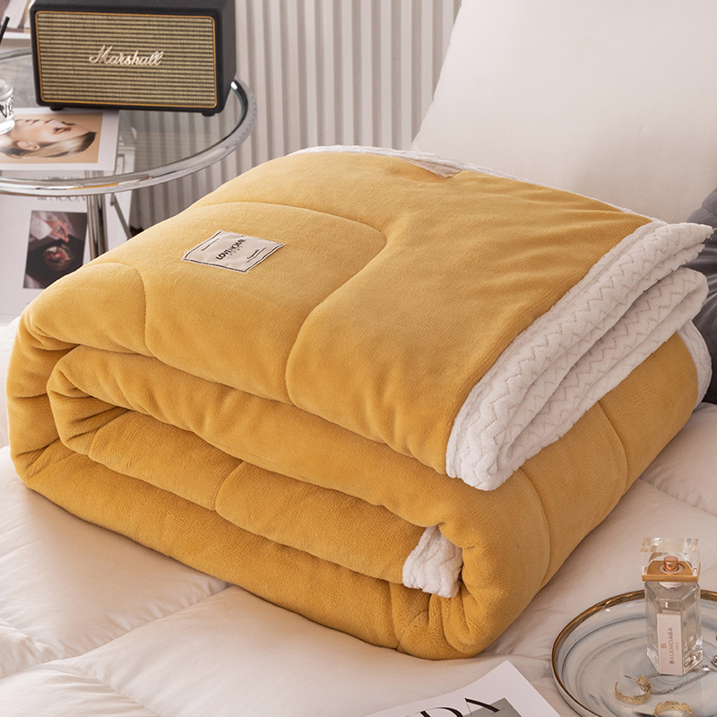羊羔绒毛毯被子加厚保暖冬被棉被宿舍单人学生冬季被褥被芯盖毯子