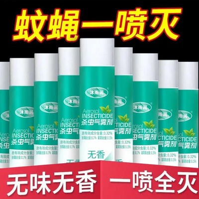杀虫气雾剂家用喷雾强力杀虫剂