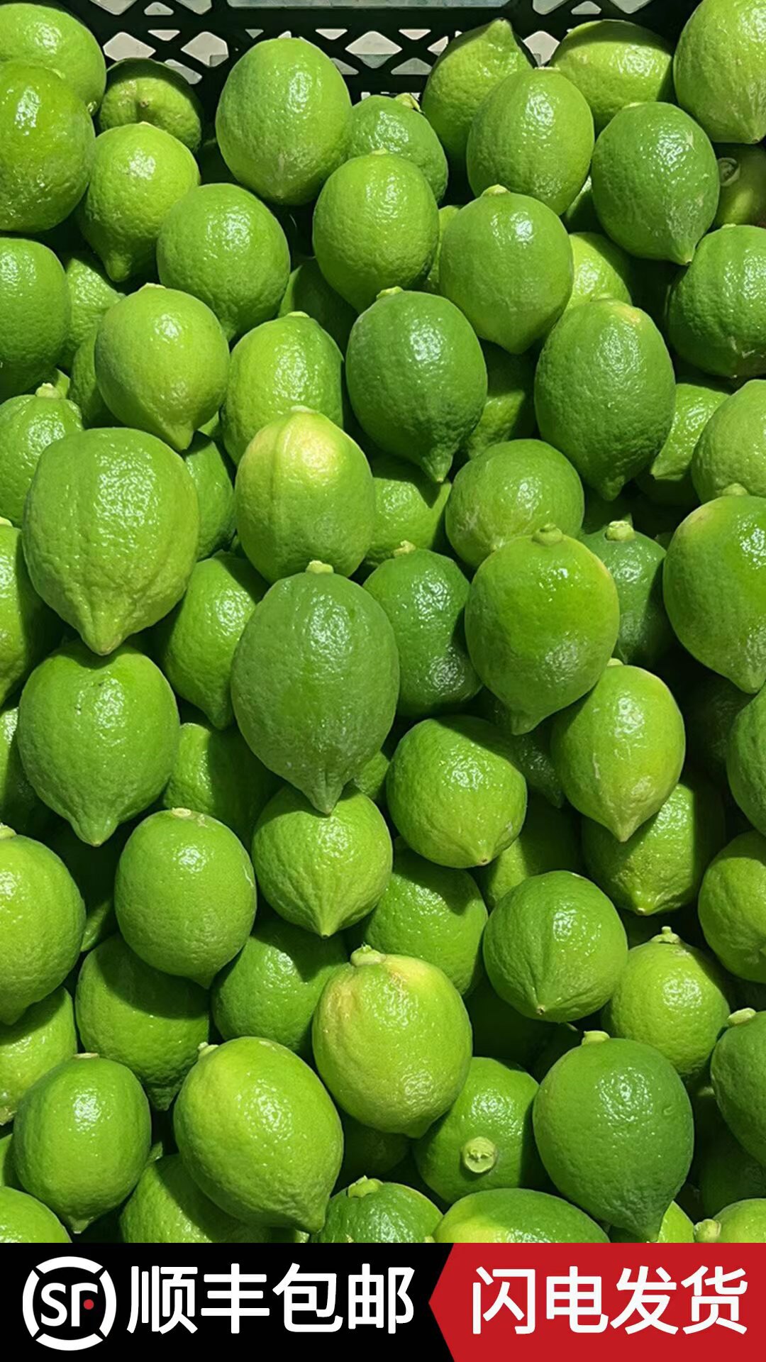 广东香水柠檬一级果50斤青皮新鲜无籽香水柠檬奶茶店专用顺丰包邮