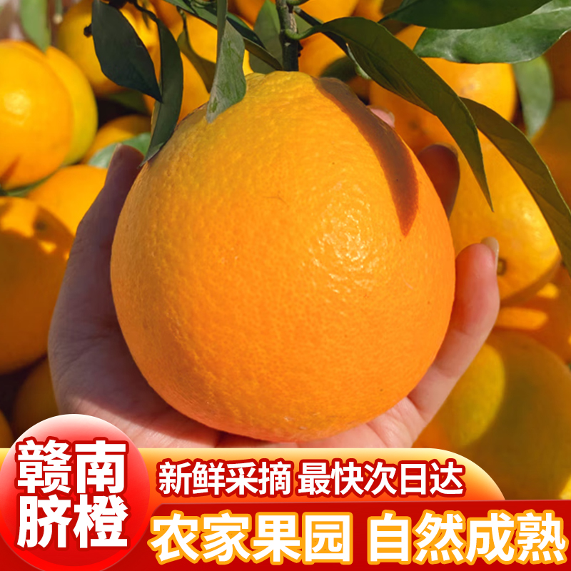 正宗赣南脐橙大果10斤纸箱礼盒装手剥新鲜橙子产地直发当季水果