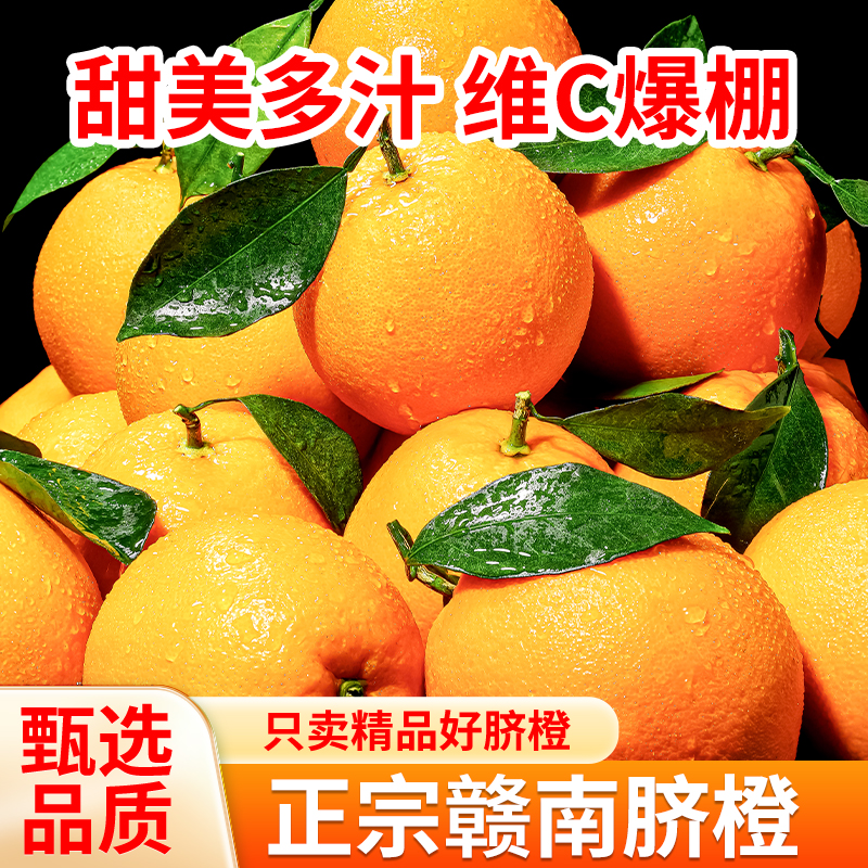 正宗赣南脐橙果园直发礼盒包装