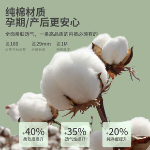 懒人洁癖旅行好物~一次性内裤女士纯棉无菌独立包装男士平角短裤